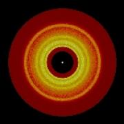 Newborn planets produce rings of dust grains along their orbits